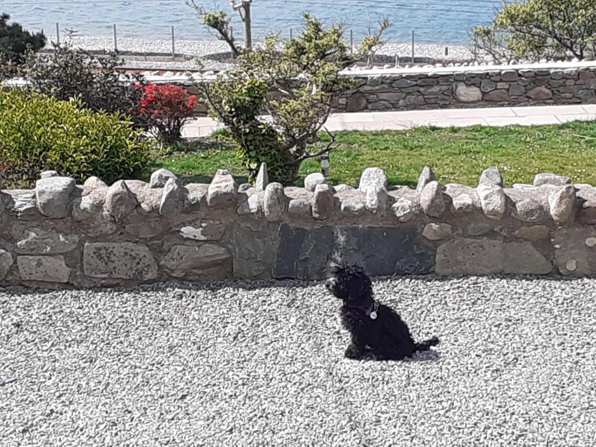 Talarfor Barmouth Villa Eksteriør billede